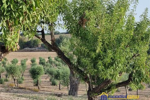 Helårsgrund i Noto, Siracusa, Noto - € 280.000 | Ref: AGLIASTRO 1 - foto 5