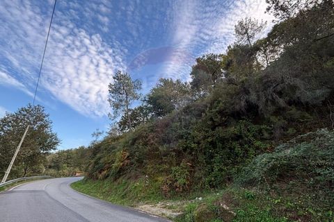 Helårsgrund i Arcos de Valdevez, Viana do Castelo, Arcos de Valdevez - € 19.000 | Ref: 1096-44 - foto 1