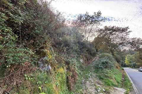 Helårsgrund i Arcos de Valdevez, Viana do Castelo, Arcos de Valdevez - € 19.000 | Ref: 1096-44 - foto 3