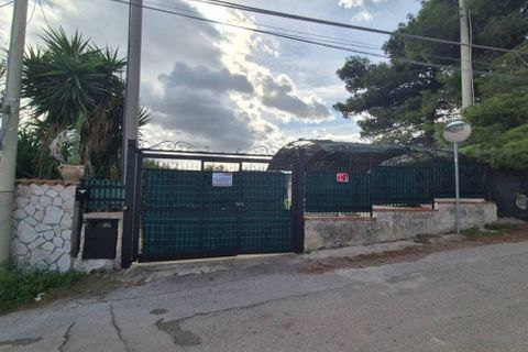 Villa i Trabia, Palermo, Trabia - € 70.000 | Ref: Trabia C.da Serra Scirocco - foto 23