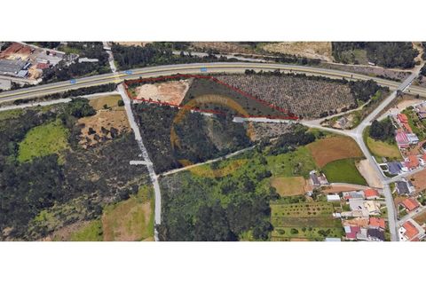 Terra a Maceda, Aveiro, Maceda - € 650.000 | Ref: T/0849 - foto 2