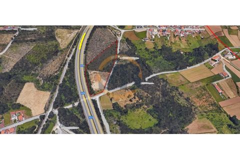 Terra a Maceda, Aveiro, Maceda - € 650.000 | Ref: T/0849 - foto 3