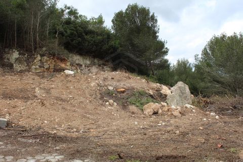 Helårsgrund i Budens, Faro, Budens - € 170.000 | Ref: SÒL_53725 - foto 7
