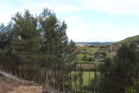 Helårsgrund i Budens, Faro, Budens - € 170.000 | Ref: SÒL_53725 - foto 15