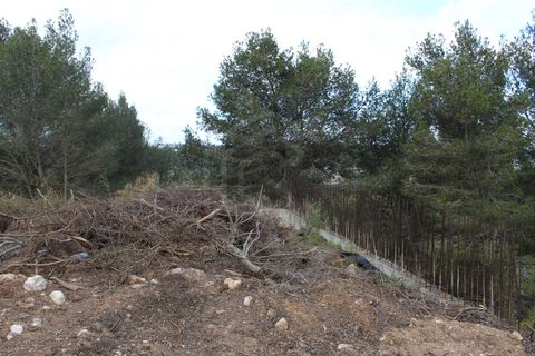 Helårsgrund i Budens, Faro, Budens - € 170.000 | Ref: SÒL_53725 - foto 24