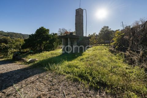 Helårsgrund i Torre e Portela, Braga, Torre e Portela - € 400.000 | Ref: ZMPT582272 - foto 5