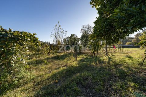 Helårsgrund i Torre e Portela, Braga, Torre e Portela - € 400.000 | Ref: ZMPT582272 - foto 10