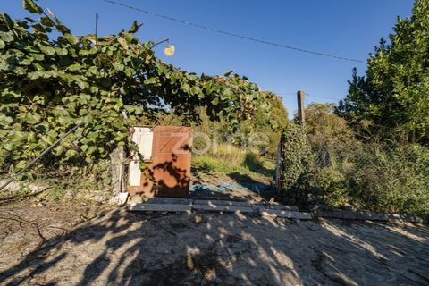 Helårsgrund i Torre e Portela, Braga, Torre e Portela - € 400.000 | Ref: ZMPT582272 - foto 11