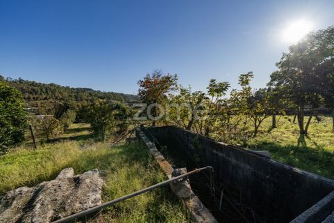 Helårsgrund i Torre e Portela, Braga, Torre e Portela - € 400.000 | Ref: ZMPT582272 - foto 6
