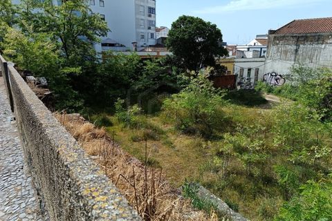 Terreno en Beja, Beja, Beja - € 950.000 | Ref: SÒL_53745 - photo 4