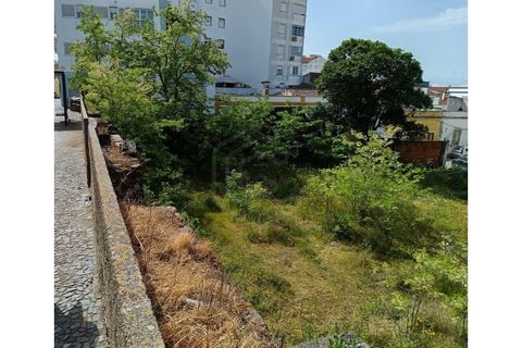 Terreno en Beja, Beja, Beja - € 950.000 | Ref: SÒL_53745 - photo 10