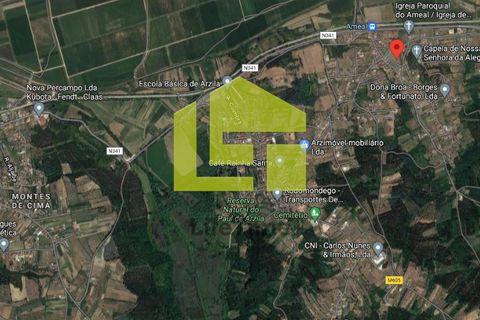 Helårsgrund i Coimbra, Coimbra, Coimbra - € 20.000 | Ref: LT0857 - foto 11