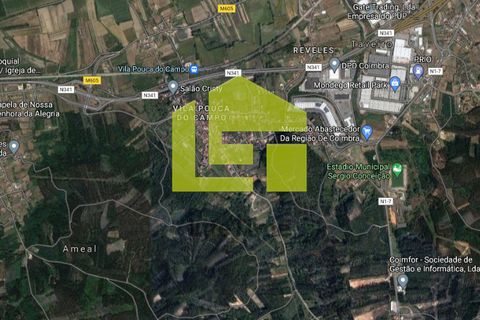 Helårsgrund i Coimbra, Coimbra, Coimbra - € 20.000 | Ref: LT0857 - foto 12