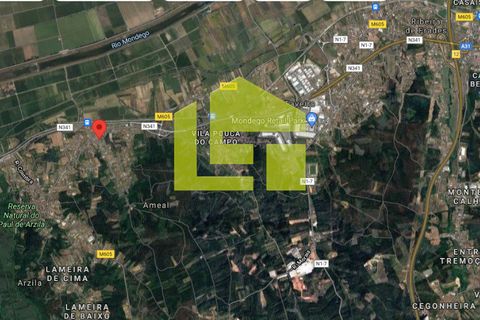 Helårsgrund i Coimbra, Coimbra, Coimbra - € 20.000 | Ref: LT0857 - foto 13