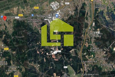 Helårsgrund i Coimbra, Coimbra, Coimbra - € 20.000 | Ref: LT0857 - foto 14