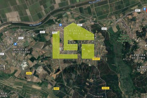 Helårsgrund i Coimbra, Coimbra, Coimbra - € 20.000 | Ref: LT0857 - foto 15