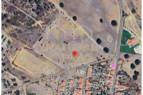 Helårsgrund i Ermidas do Sado, Setubal, Ermidas do Sado - € 500.000 | Ref: TER_2873_VEND - foto 1