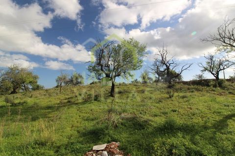 Helårsgrund i Estoi, Faro, Estoi - € 35.000 | Ref: TER_2779_VEND - foto 4