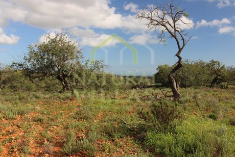 Helårsgrund i Estoi, Faro, Estoi - € 35.000 | Ref: TER_2779_VEND - foto 3