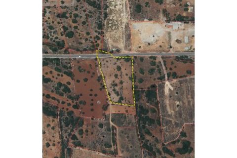 Helårsgrund i Estoi, Faro, Estoi - € 35.000 | Ref: TER_2779_VEND - foto 6