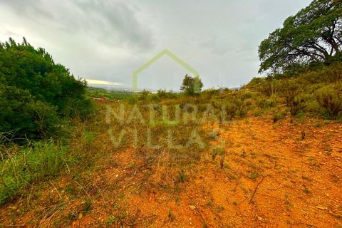 Helårsgrund i Estoi, Faro, Estoi - € 30.000 | Ref: TER_2367_VEND - foto 2