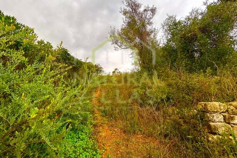 Helårsgrund i Estoi, Faro, Estoi - € 30.000 | Ref: TER_2367_VEND - foto 3