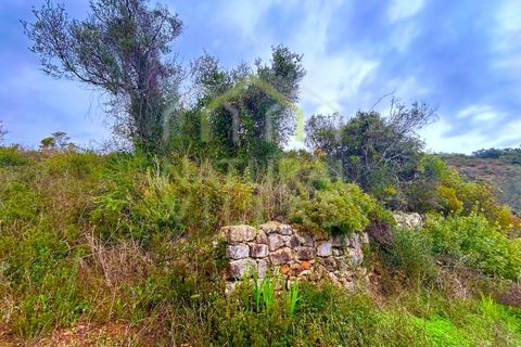 Helårsgrund i Estoi, Faro, Estoi - € 30.000 | Ref: TER_2367_VEND - foto 4