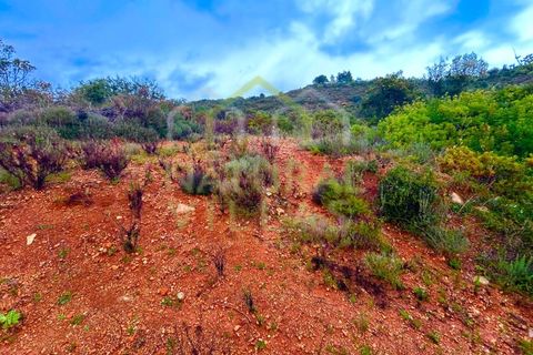 Helårsgrund i Estoi, Faro, Estoi - € 30.000 | Ref: TER_2367_VEND - foto 5