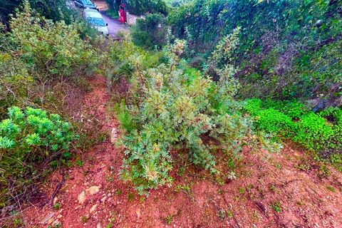 Helårsgrund i Estoi, Faro, Estoi - € 30.000 | Ref: TER_2367_VEND - foto 6