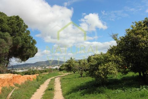 Farm i Faro, Faro, Faro - € 2.500.000 | Ref: TER_2248A_VEND - foto 1