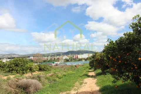 Farm i Faro, Faro, Faro - € 2.500.000 | Ref: TER_2248A_VEND - foto 3
