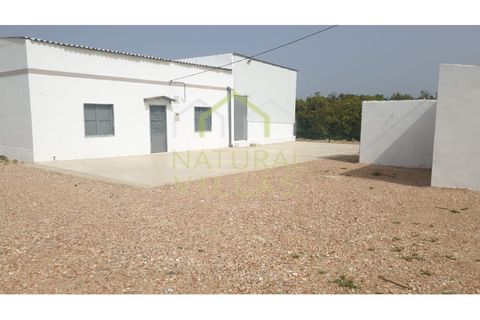 Farm i Faro, Faro, Faro - € 2.500.000 | Ref: TER_2248A_VEND - foto 4