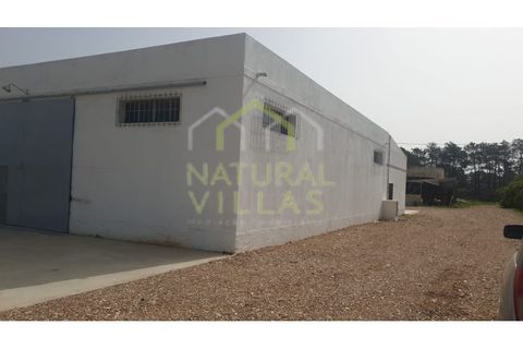 Farm i Faro, Faro, Faro - € 2.500.000 | Ref: TER_2248A_VEND - foto 5