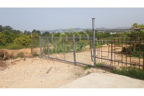 Farm i Faro, Faro, Faro - € 2.500.000 | Ref: TER_2248A_VEND - foto 7