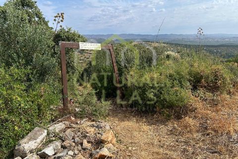 Helårsgrund i Moncarapacho, Faro, Moncarapacho - € 96.500 | Ref: TER_2245_VEND - foto 2