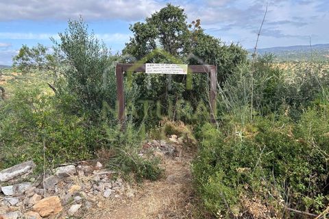 Helårsgrund i Moncarapacho, Faro, Moncarapacho - € 96.500 | Ref: TER_2245_VEND - foto 3