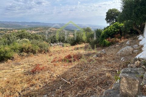 Helårsgrund i Moncarapacho, Faro, Moncarapacho - € 96.500 | Ref: TER_2245_VEND - foto 1