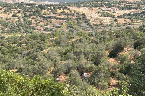 Helårsgrund i Moncarapacho, Faro, Moncarapacho - € 96.500 | Ref: TER_2245_VEND - foto 4