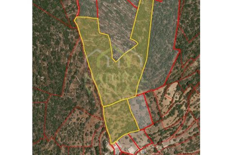 Helårsgrund i Moncarapacho, Faro, Moncarapacho - € 96.500 | Ref: TER_2245_VEND - foto 6