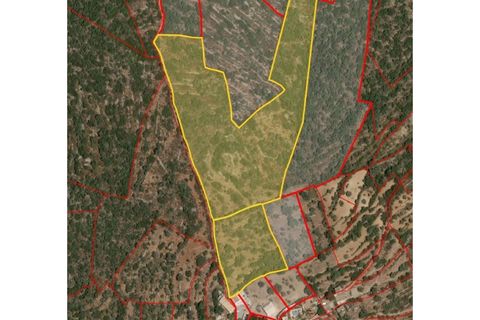 Helårsgrund i Moncarapacho, Faro, Moncarapacho - € 96.500 | Ref: TER_2245_VEND - foto 7