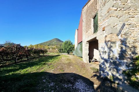 Terra a Cinto Euganeo, Padua, Cinto Euganeo - € 105.000 | Ref: TER 286 - foto 4
