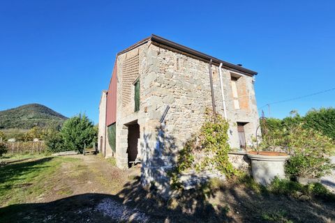 Terra a Cinto Euganeo, Padua, Cinto Euganeo - € 105.000 | Ref: TER 286 - foto 5