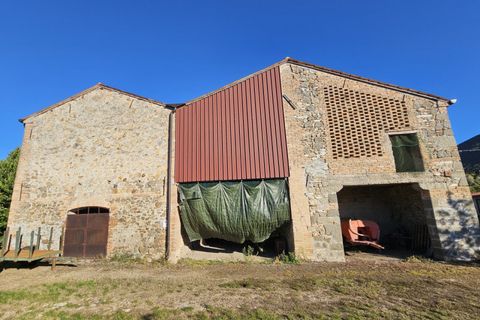 Terra a Cinto Euganeo, Padua, Cinto Euganeo - € 105.000 | Ref: TER 286 - foto 6