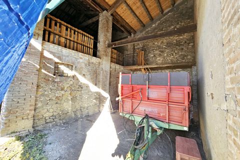 Terra a Cinto Euganeo, Padua, Cinto Euganeo - € 105.000 | Ref: TER 286 - foto 7