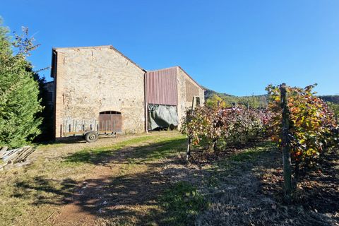 Terra a Cinto Euganeo, Padua, Cinto Euganeo - € 105.000 | Ref: TER 286 - foto 9