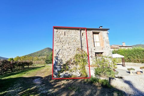 Terra a Cinto Euganeo, Padua, Cinto Euganeo - € 105.000 | Ref: TER 286 - foto 10