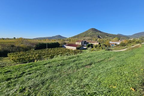 Terra a Cinto Euganeo, Padua, Cinto Euganeo - € 105.000 | Ref: TER 286 - foto 11