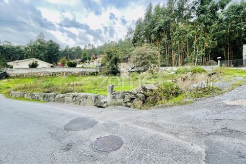 Terra a Oliveira, Braga, Oliveira - € 85.000 | Ref: ZMPT572153 - foto 3
