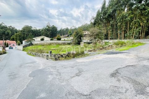 Terra a Oliveira, Braga, Oliveira - € 85.000 | Ref: ZMPT572153 - foto 4