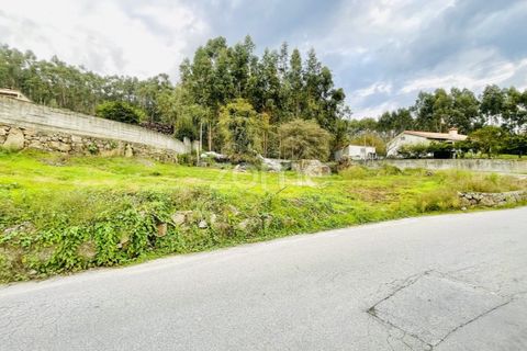 Terra a Oliveira, Braga, Oliveira - € 85.000 | Ref: ZMPT572153 - foto 5